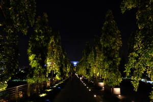 【新加坡旅遊】Day3 金沙酒店、海濱公園超級樹夜景 @MY TRIP ‧ MY LIFE