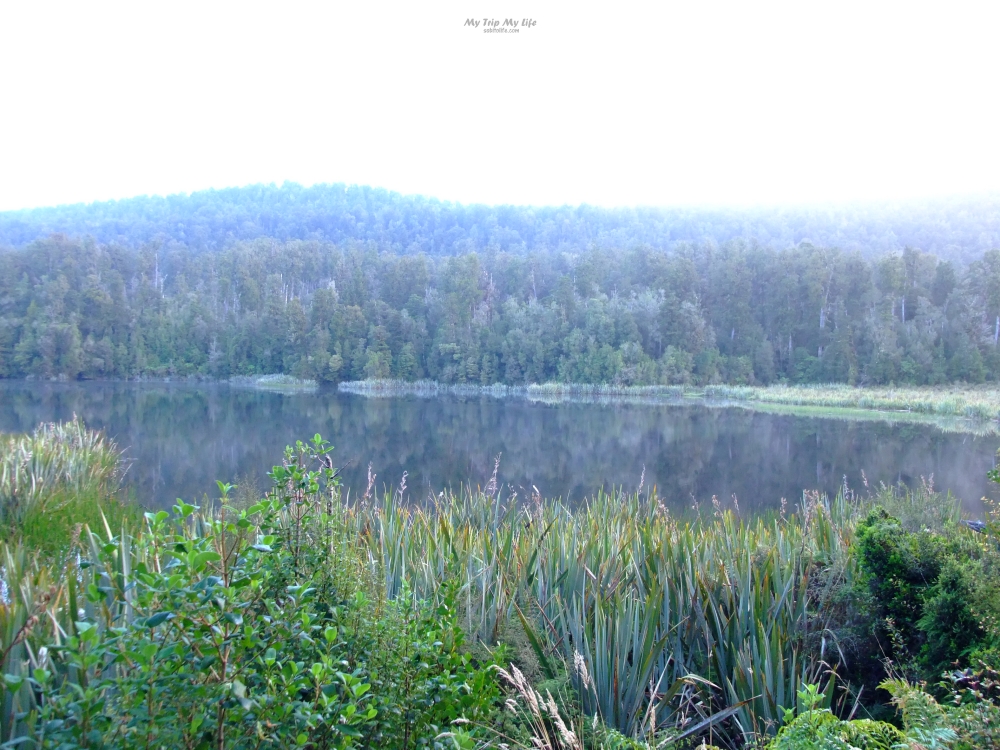 【紐西蘭旅行】南島馬松森湖Lake Matheson散步、武士角觀景台Knights Point、哈威亞湖Lake Hawea @MY TRIP ‧ MY LIFE