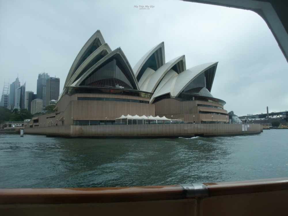 【澳洲旅行】雪梨皇家植物園、雪梨港遊船看滿雪梨歌劇院 @MY TRIP ‧ MY LIFE
