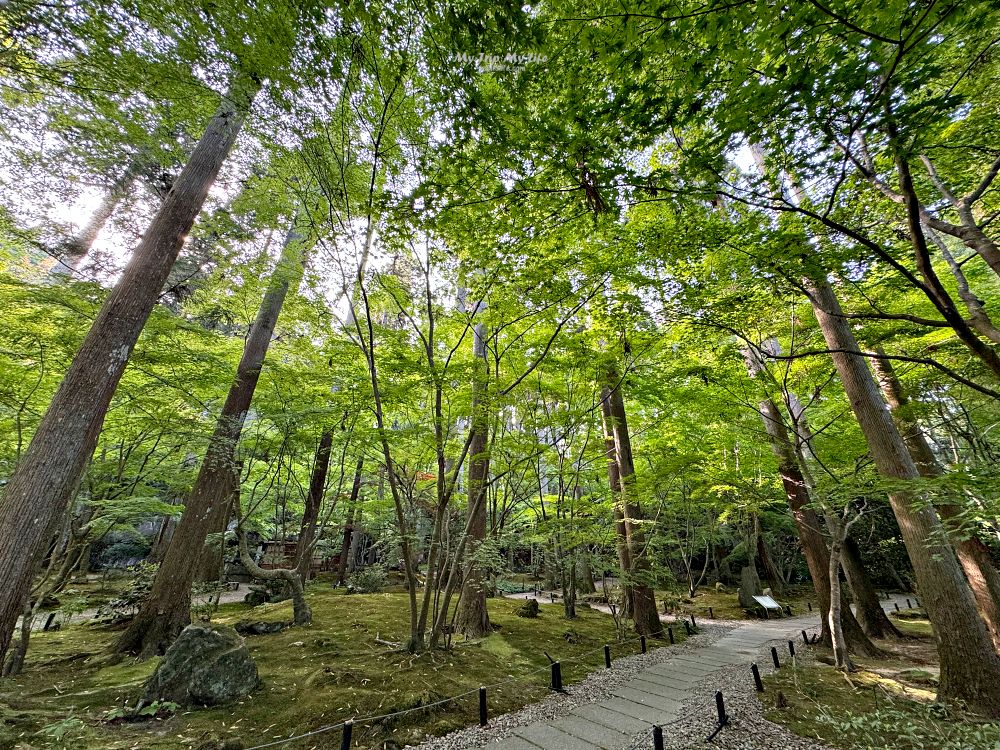 【日本東北】日本三景「松島」一日遊（交通、美食、景點介紹） @MY TRIP ‧ MY LIFE