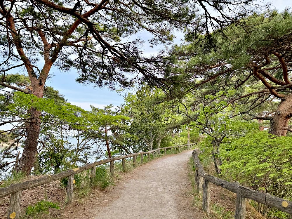 【日本東北】日本三景「松島」一日遊（交通、美食、景點介紹） @MY TRIP ‧ MY LIFE