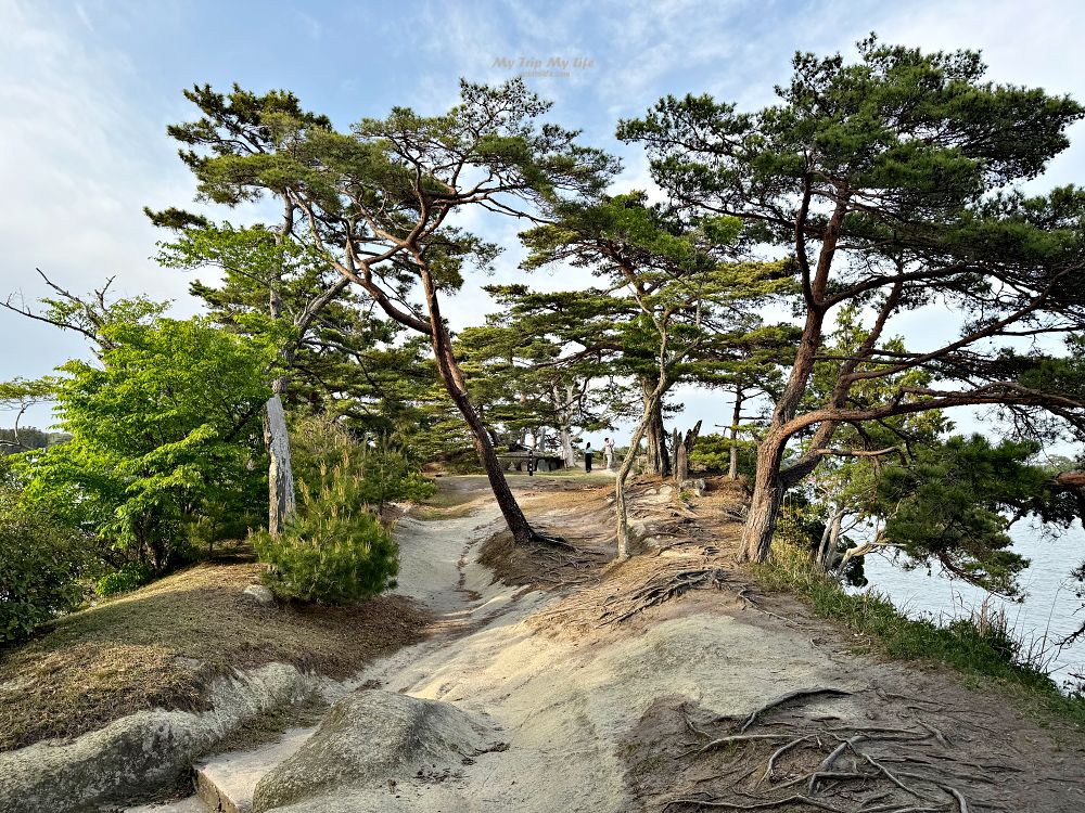 【日本東北】日本三景「松島」一日遊（交通、美食、景點介紹） @MY TRIP ‧ MY LIFE