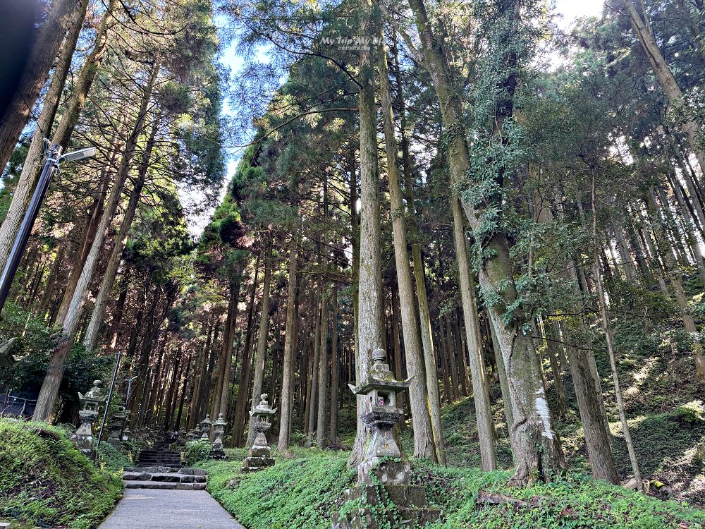 熊本阿蘇 &#8211; 上色見熊野座神社（位於森林中的神秘神社） @MY TRIP ‧ MY LIFE