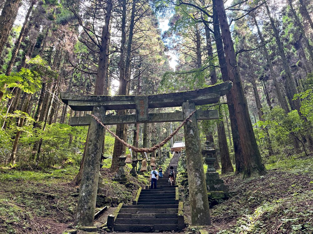 熊本阿蘇 &#8211; 上色見熊野座神社（位於森林中的神秘神社） @MY TRIP ‧ MY LIFE