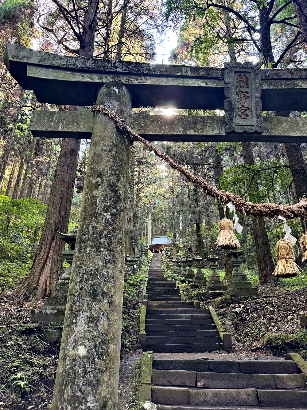 熊本阿蘇 &#8211; 上色見熊野座神社（位於森林中的神秘神社） @MY TRIP ‧ MY LIFE