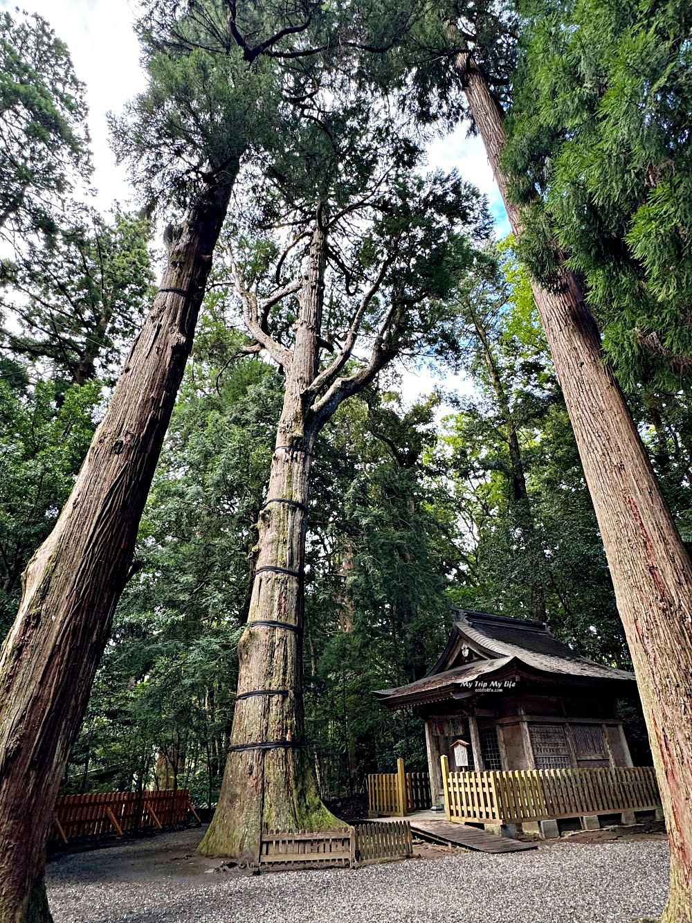 宮崎高千穗 – 高千穗神社（座落神話之都、源賴朝相關） @MY TRIP ‧ MY LIFE