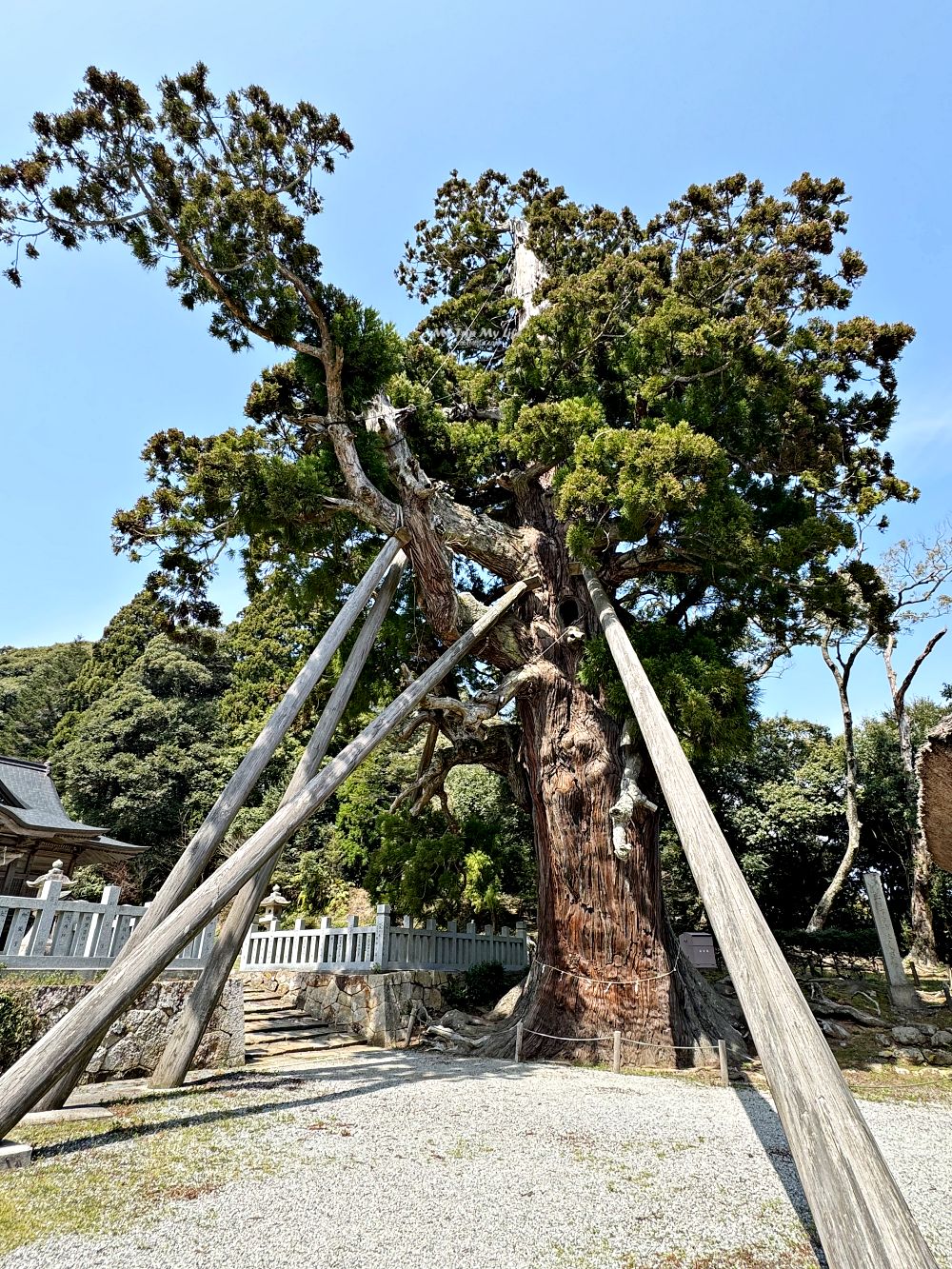 【日本島根】隱岐群島「島後」隱岐之島町半日遊（景點、餐廳、住宿介紹） @MY TRIP ‧ MY LIFE