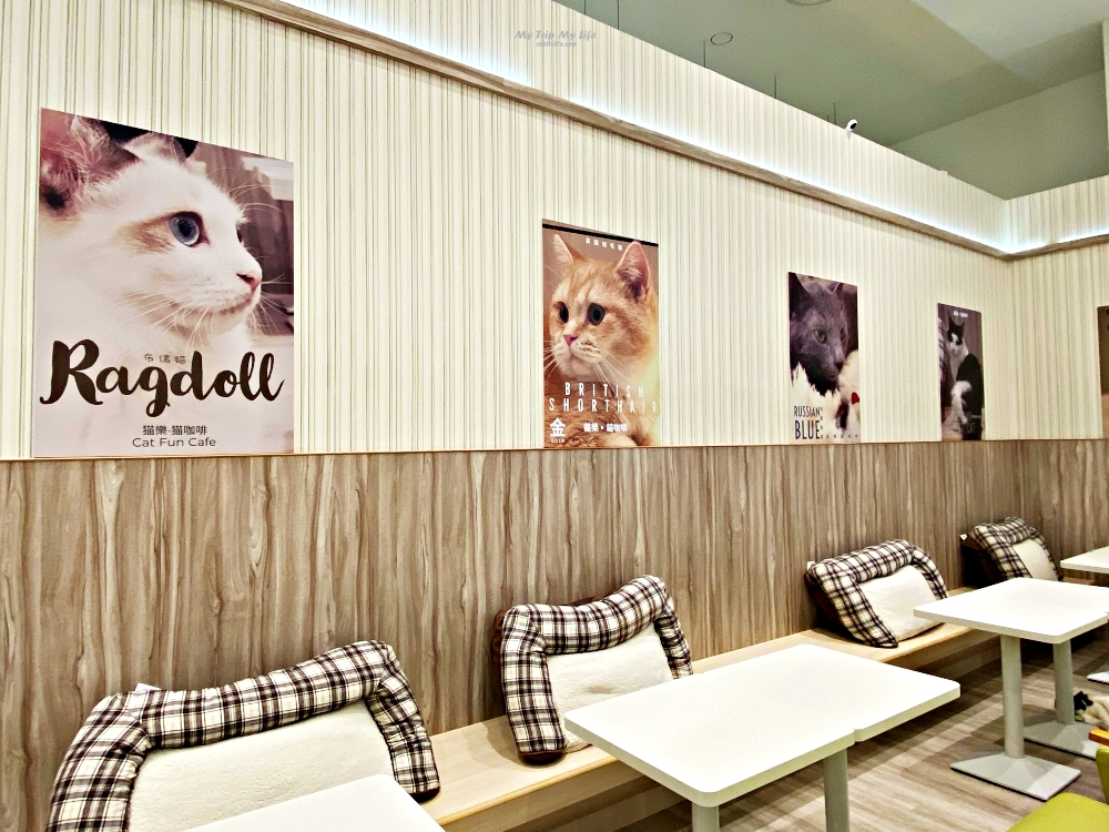 《貓咖啡》中和環球-貓樂貓咖啡 Cat Fun Cafe @MY TRIP ‧ MY LIFE