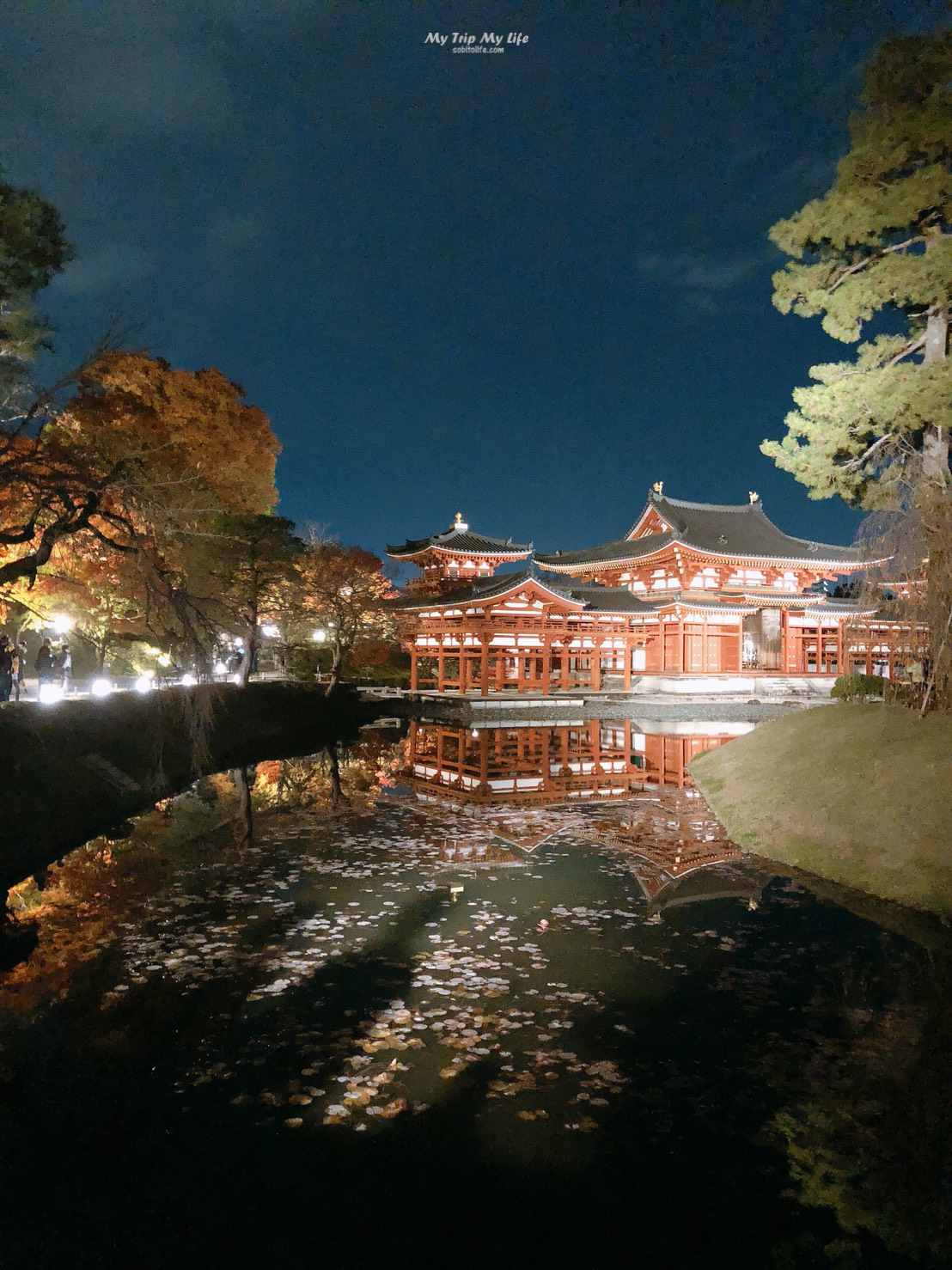 【日本旅遊】京都平等院秋季夜間特別拜觀2019、特別朱印 @MY TRIP ‧ MY LIFE