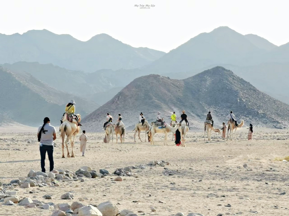 埃及旅遊｜努比亞村落、貝都因村落、騎駱駝體驗 @MY TRIP ‧ MY LIFE