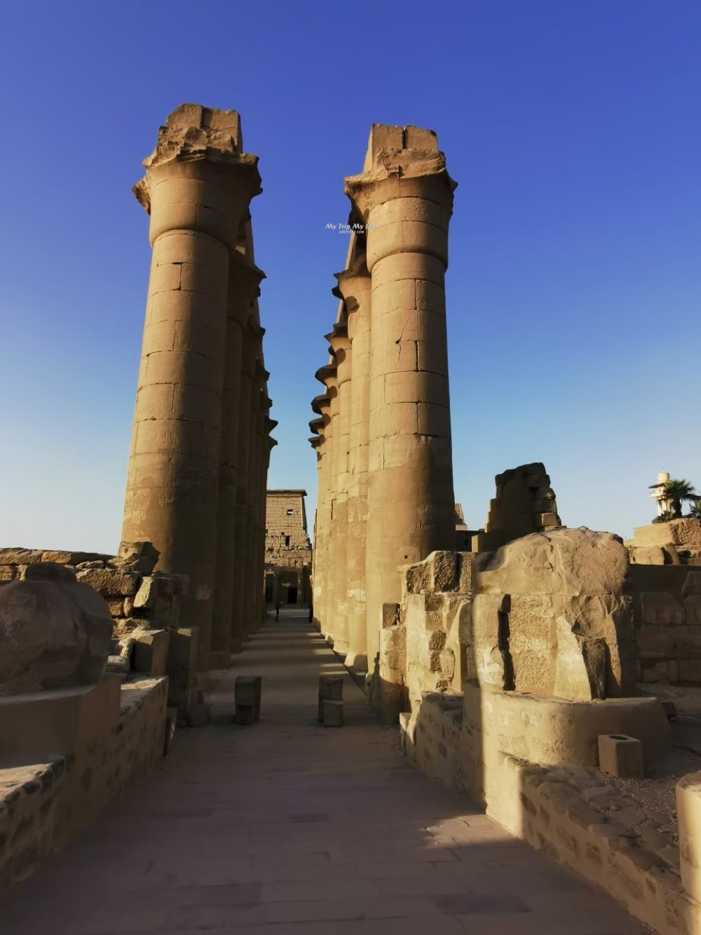埃及旅遊｜路克索神廟 Luxor Temple @MY TRIP ‧ MY LIFE