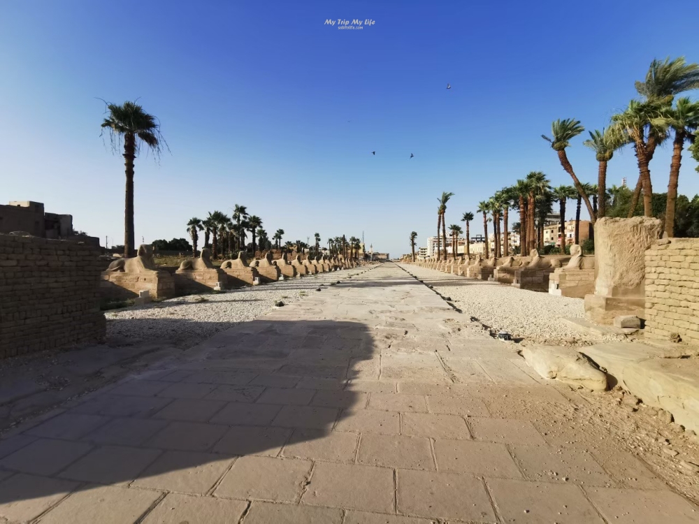 埃及旅遊｜路克索神廟 Luxor Temple @MY TRIP ‧ MY LIFE